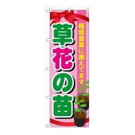 P・O・Pプロダクツ のぼり 草花の苗 GNB-1079 1枚（ご注文単位1枚）【直送品】