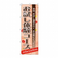 P・O・Pプロダクツ のぼり  GNB-1389　お試し体験コース 1枚（ご注文単位1枚）【直送品】