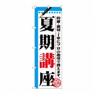 P・O・Pプロダクツ のぼり  GNB-1563　夏期講座 1枚（ご注文単位1枚）【直送品】