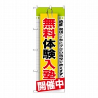 P・O・Pプロダクツ のぼり  GNB-1579　無料体験入塾　開催中 1枚（ご注文単位1枚）【直送品】