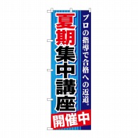 P・O・Pプロダクツ のぼり  GNB-1593　夏期集中講座　開催中　青 1枚（ご注文単位1枚）【直送品】