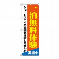 P・O・Pプロダクツ のぼり  GNB-1803　一泊無料体験ショートステイ 1枚（ご注文単位1枚）【直送品】