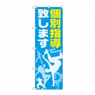 P・O・Pプロダクツ のぼり  GNB-2117　個別指導致します 1枚（ご注文単位1枚）【直送品】