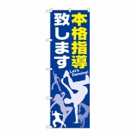 P・O・Pプロダクツ のぼり  GNB-2118　本格指導致します 1枚（ご注文単位1枚）【直送品】