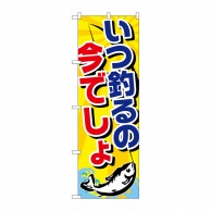 P・O・Pプロダクツ のぼり  GNB-2412　いつ釣るの今でしょ 1枚（ご注文単位1枚）【直送品】