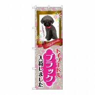 P・O・Pプロダクツ のぼり  GNB-2462　トイプードル　ブラック 1枚（ご注文単位1枚）【直送品】