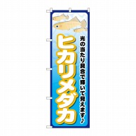 P・O・Pプロダクツ のぼり ヒカリメダカ GNB-2475 1枚（ご注文単位1枚）【直送品】