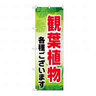 P・O・Pプロダクツ のぼり  GNB-2531　観葉植物各種ございます 1枚（ご注文単位1枚）【直送品】