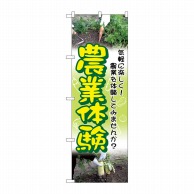 P・O・Pプロダクツ のぼり  GNB-2533　農業体験 1枚（ご注文単位1枚）【直送品】