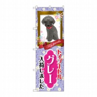 P・O・Pプロダクツ のぼり  GNB-2567　トイプードル　グレー 1枚（ご注文単位1枚）【直送品】