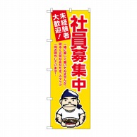 P・O・Pプロダクツ のぼり  GNB-3298　社員募集中　黄地 1枚（ご注文単位1枚）【直送品】