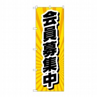 P・O・Pプロダクツ のぼり  GNB-4234　会員募集中　放射線黄 1枚（ご注文単位1枚）【直送品】