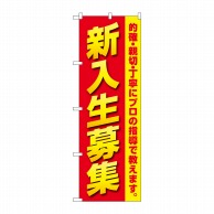 P・O・Pプロダクツ のぼり  GNB-4285　新入生募集　プロの指導 1枚（ご注文単位1枚）【直送品】