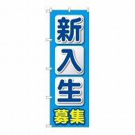 P・O・Pプロダクツ のぼり  GNB-4286　新入生募集　水色 1枚（ご注文単位1枚）【直送品】