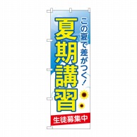 P・O・Pプロダクツ のぼり  GNB-4294　夏期講習　生徒募集中 1枚（ご注文単位1枚）【直送品】