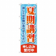 P・O・Pプロダクツ のぼり  GNB-4295　夏期講習申し込み受付中 1枚（ご注文単位1枚）【直送品】