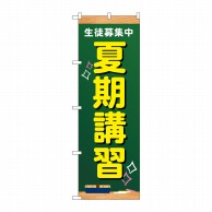 P・O・Pプロダクツ のぼり  GNB-4296　生徒募集中　夏期講習 1枚（ご注文単位1枚）【直送品】