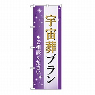 P・O・Pプロダクツ のぼり 宇宙葬プラン　ご相談　A GNB-6656 1枚（ご注文単位1枚）【直送品】