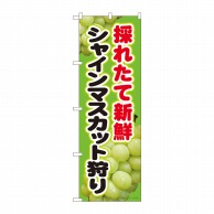 P・O・Pプロダクツ のぼり  81281　シャインマスカット　採れたて 1枚（ご注文単位1枚）【直送品】