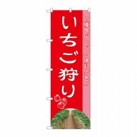 P・O・Pプロダクツ のぼり  81980　いちご狩り品種食べ比べIJM 1枚（ご注文単位1枚）【直送品】