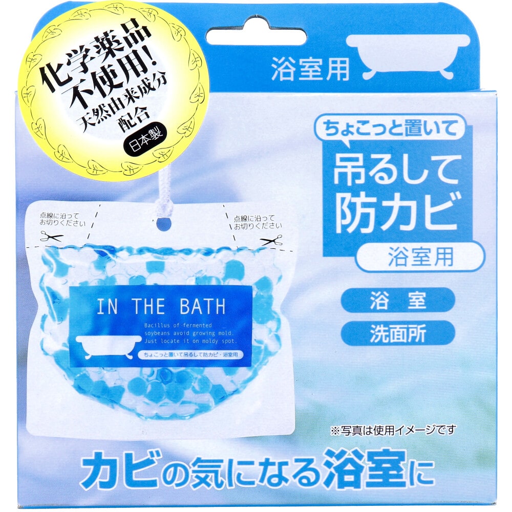 ビッグバイオ　ちょこっと置いて吊るして防カビ 浴室用 160g　1個（ご注文単位1個）【直送品】