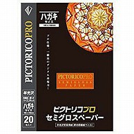 ピクトリコ ピクトリコプロ・セミグロスペーパー ハガキサイズ （20枚入り）　PPS200-HG/20 PPS200-HG/20 PPS200HG20 1個（ご注文単位1個）【直送品】