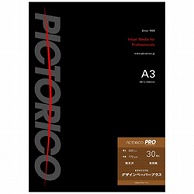 ピクトリコ ピクトリコプロ・デザインペーパープラス （A3ノビサイズ・30枚入り） PPD160-A3+/30   PPD160-A3+/30 PPD160A3+30 1個（ご注文単位1個）【直送品】