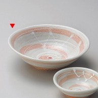 山万 一珍萩色うず　5.0平鉢  04613-449 1個（ご注文単位1個）【直送品】