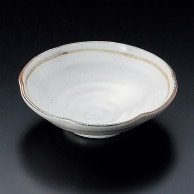 山万 志野ライン平小鉢  08613-559 1個（ご注文単位1個）【直送品】