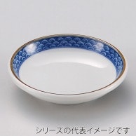 山万 渕青海波玉　3.0皿  34018-209 1個（ご注文単位1個）【直送品】