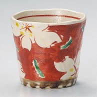 山万 赤絵　桜ロックカップ  35414-579 1個（ご注文単位1個）【直送品】