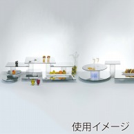 MIRROR　TRAY（ミラートレー）セット   1個（ご注文単位1個）【直送品】