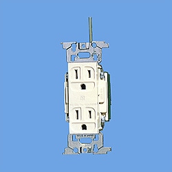 パナソニック フルカラー医用アース付ダブルコンセント WN1318K WN1318K 1個（ご注文単位1個）【直送品】
