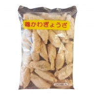 鶏かわぎょうざ 25g×20本 冷凍 1パック※軽（ご注文単位1パック）※注文上限数12まで【直送品】