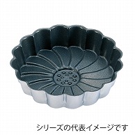 プロアスター　マルグリット　17cm  063008920 1個（ご注文単位1個）【直送品】