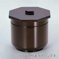 若泉漆器 京飯器　溜内朱　2段  W-1-87 1個（ご注文単位1個）【直送品】