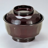 若泉漆器 真亀甲飯器　溜内黒塗  1-225-11 1個（ご注文単位1個）【直送品】