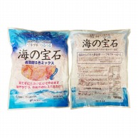 海藻麺　5色ミックス 500g 冷蔵 1個※軽（ご注文単位1個）※注文上限数12まで【直送品】