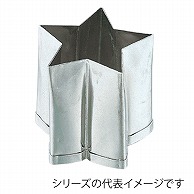 孝義　生抜 ホシ　C 373007340 1個（ご注文単位1個）【直送品】