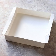 cotta 折り畳みスクエア紙型 18cm 99287 10個/束（ご注文単位50束）【直送品】