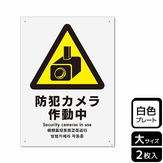 （株）KALBAS プラスチックプレート　タテ大 防犯カメラ作動中 KTK1074 1パック（ご注文単位1パック）【直送品】