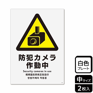 （株）KALBAS プラスチックプレート　タテ中 防犯カメラ作動中 KTK3040 1パック（ご注文単位1パック）【直送品】