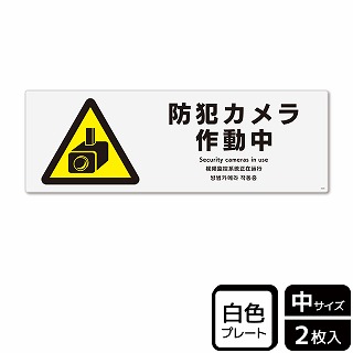 （株）KALBAS プラスチックプレート　ヨコ中 防犯カメラ作動中 KTK4040 1パック（ご注文単位1パック）【直送品】