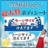 iiもの本舗 大判クールタオル　ラージサイズ　冷えてます 超大判　60×40cm 5枚入 1個（ご注文単位1個）【直送品】