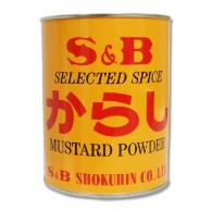 ヱスビー食品 からし 400g 常温 1個※軽（ご注文単位1個）※注文上限数12まで【直送品】