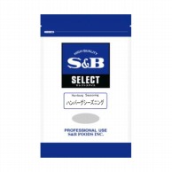 ハンバーグシーズニング 500g 常温 1個※軽（ご注文単位1個）※注文上限数12まで【直送品】