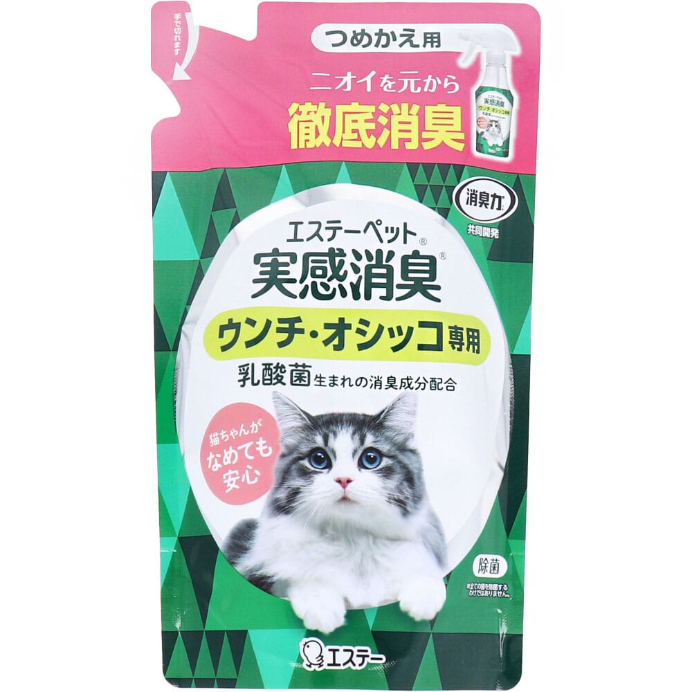 エステー　エステーペット 実感消臭スプレー 猫用 フレッシュグリーンの香り 詰替用 240mL　1個（ご注文単位1個）【直送品】