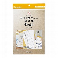 呉竹 ZIG　カリグラフィー　練習帳 ゴシック体 ECF6-1 1冊（ご注文単位10冊）【直送品】