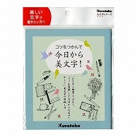 呉竹 コツをつかんで今日から美文字 テキスト DAW100-6 1冊（ご注文単位5冊）【直送品】