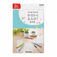 呉竹 コツをつかんで今日から美文字 練習帳 DAW100-8 1個（ご注文単位5個）【直送品】